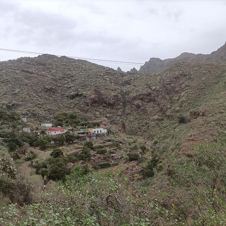 Tenerife Santa-Cruz de Ténérife Extérieur photo