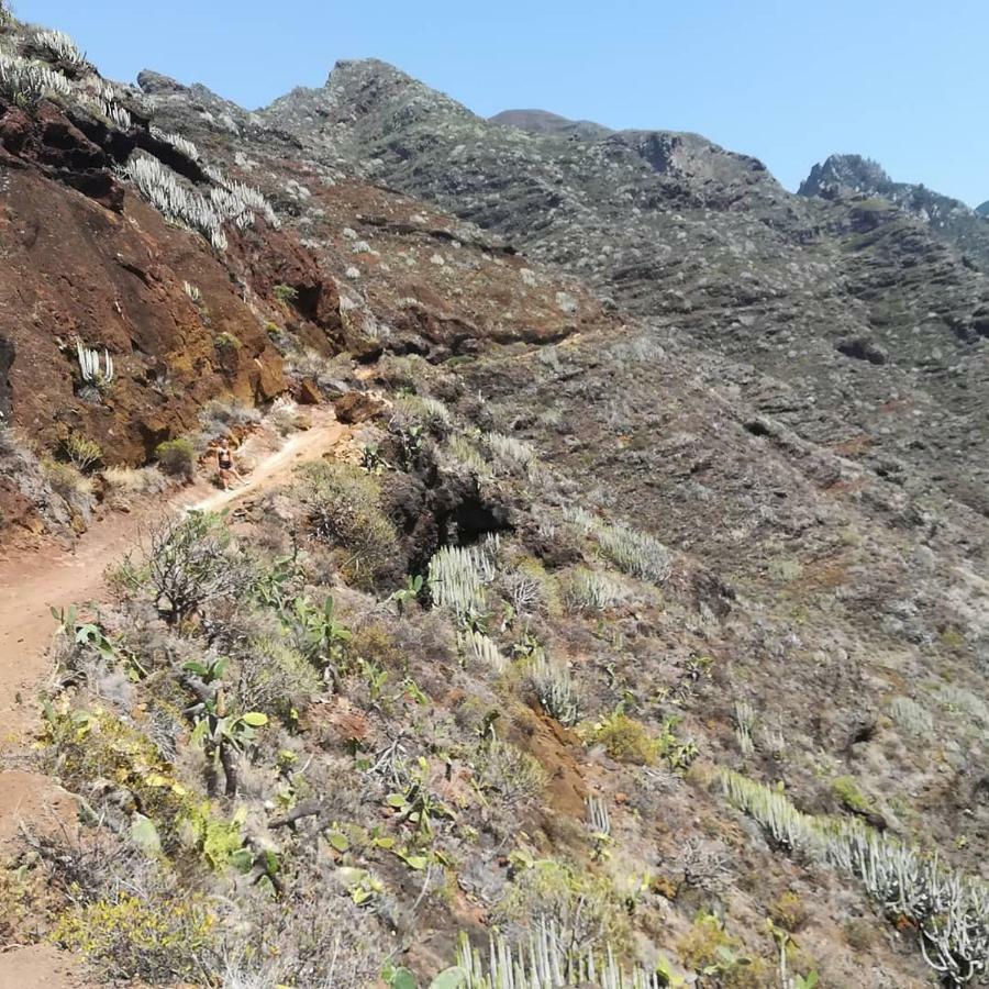 Tenerife Santa-Cruz de Ténérife Extérieur photo
