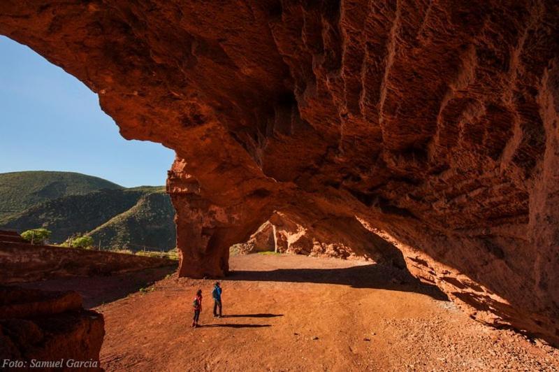 Tenerife Santa-Cruz de Ténérife Extérieur photo